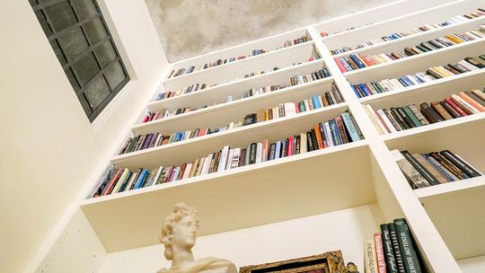 Jaki regał na książki warto kupić do salonu? Poradnik dla miłośników wnętrz i literatury