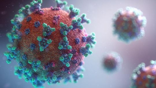 Coronavirus: mantén la calma, trabaja en casa y consulta los medios de comunicación locales