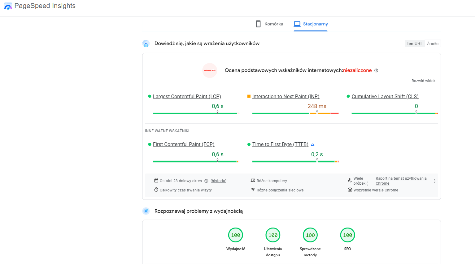 Raport PageSpeed Insights od Google jak interpretować jak wygląda przykład
