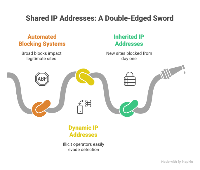 nfographic explaining how shared IP addresses, automated blocking systems, and dynamic IPs cause legitimate websites to be blocked.